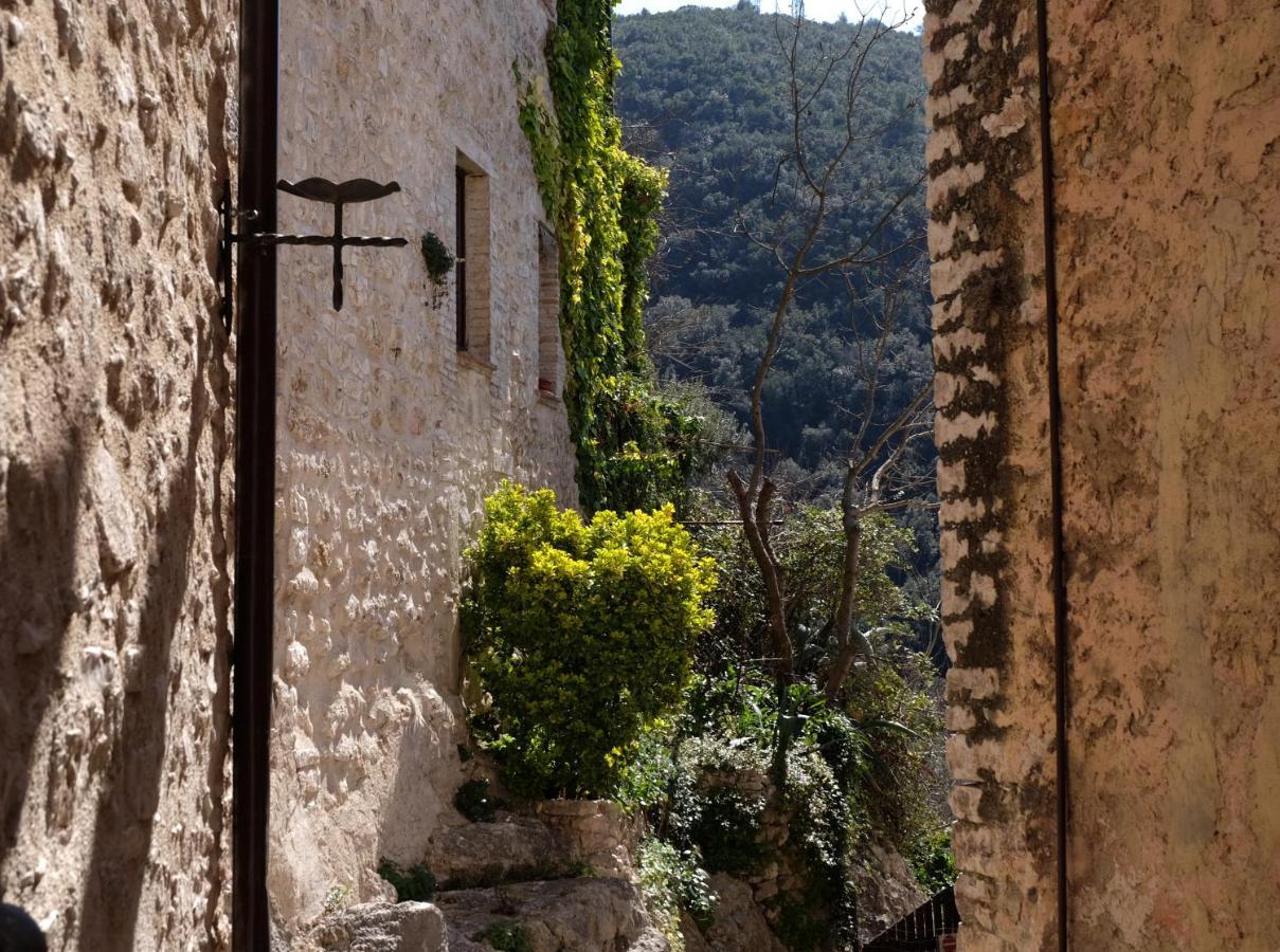 Agriturismo Il Casaletto Montefranco Zewnętrze zdjęcie