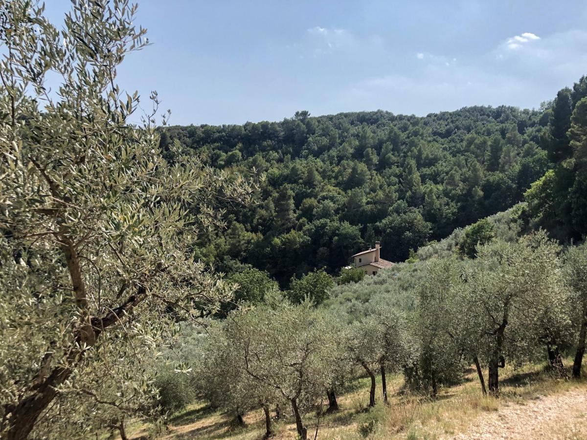 Agriturismo Il Casaletto Montefranco Zewnętrze zdjęcie