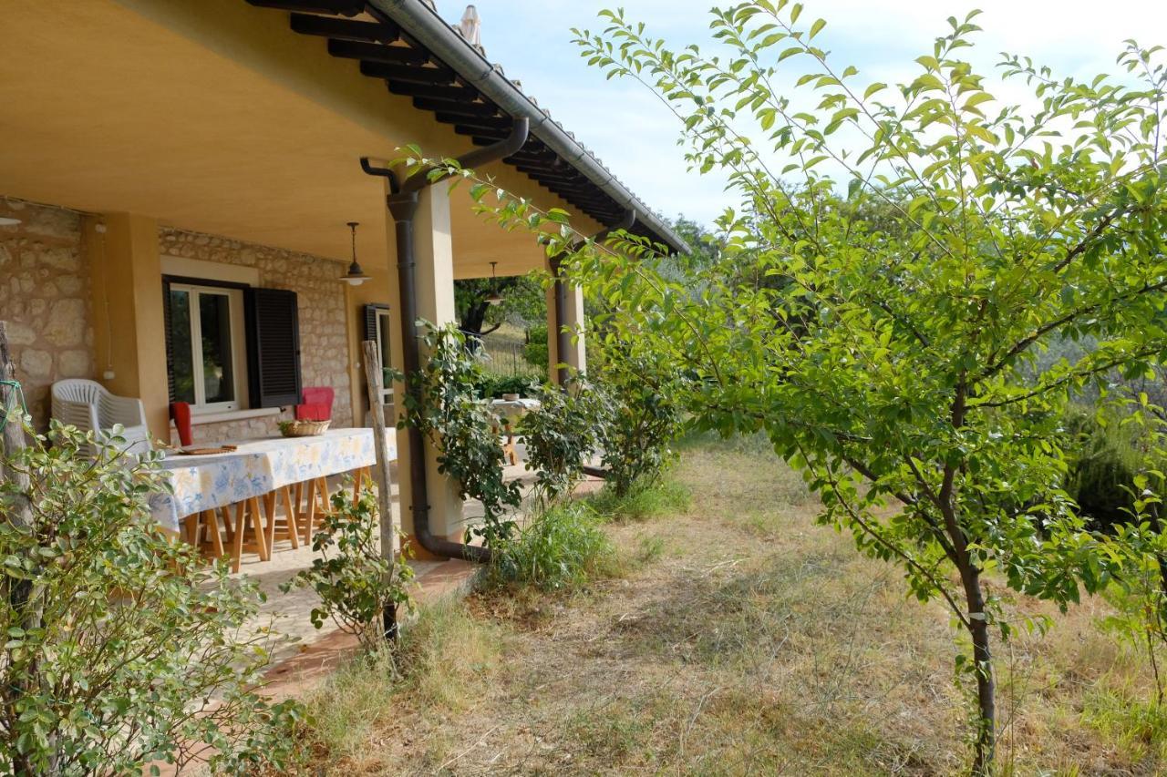 Agriturismo Il Casaletto Montefranco Zewnętrze zdjęcie
